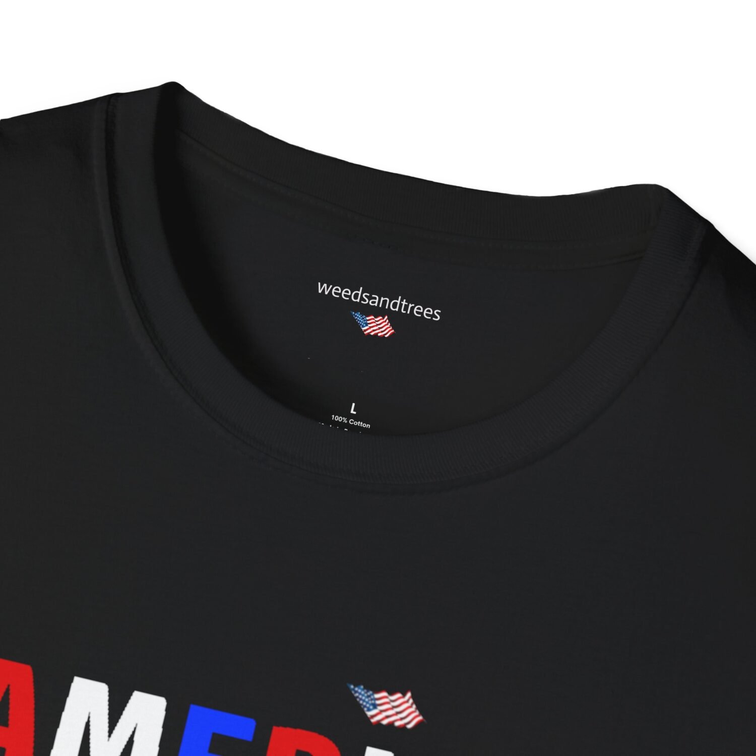 AMERICA NO KINGS - Image 3