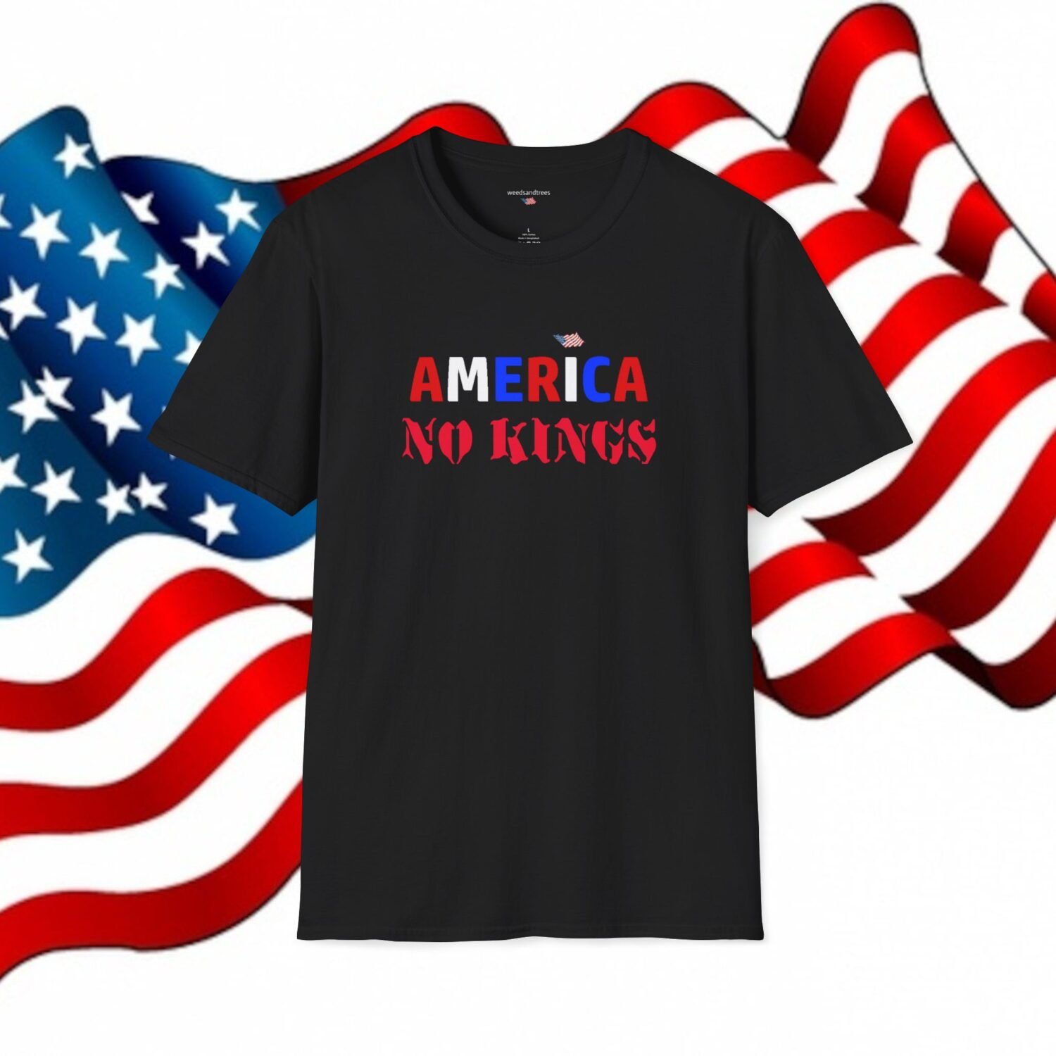 AMERICA NO KINGS