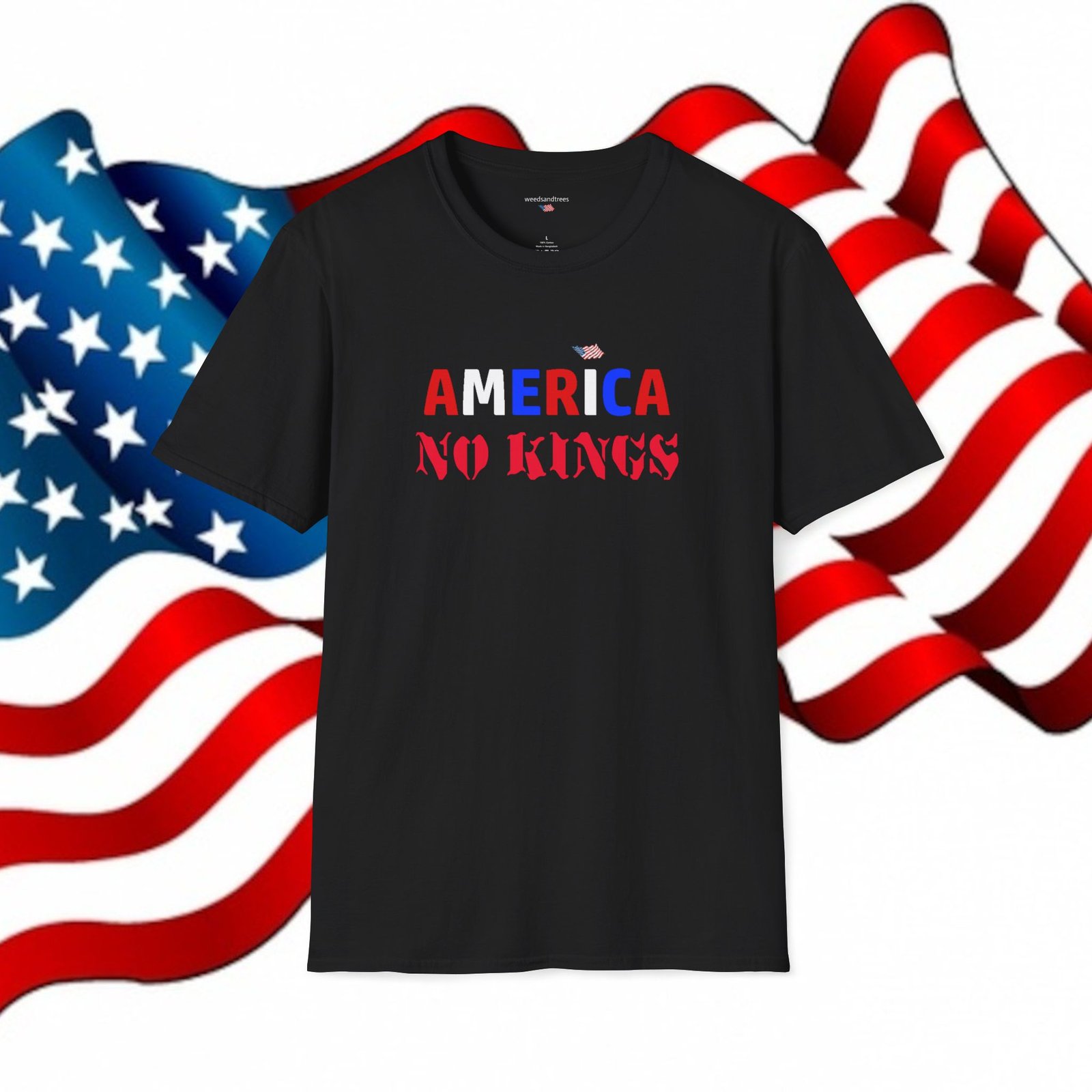 AMERICA NO KINGS