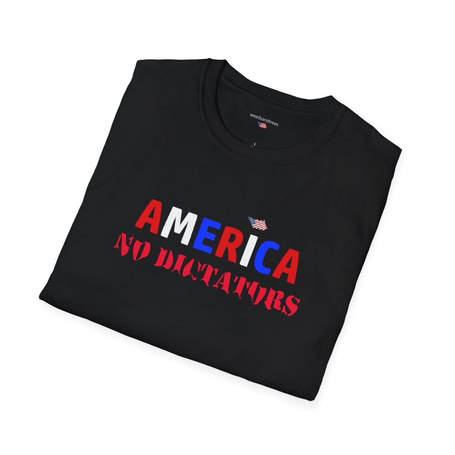 AMERICA NO DICTATORS - Image 4