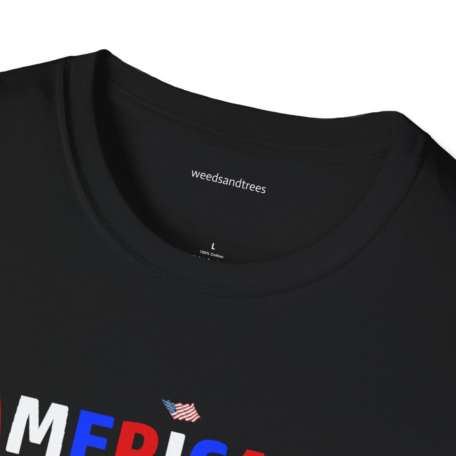 AMERICANS HATE BULLIES - Image 7
