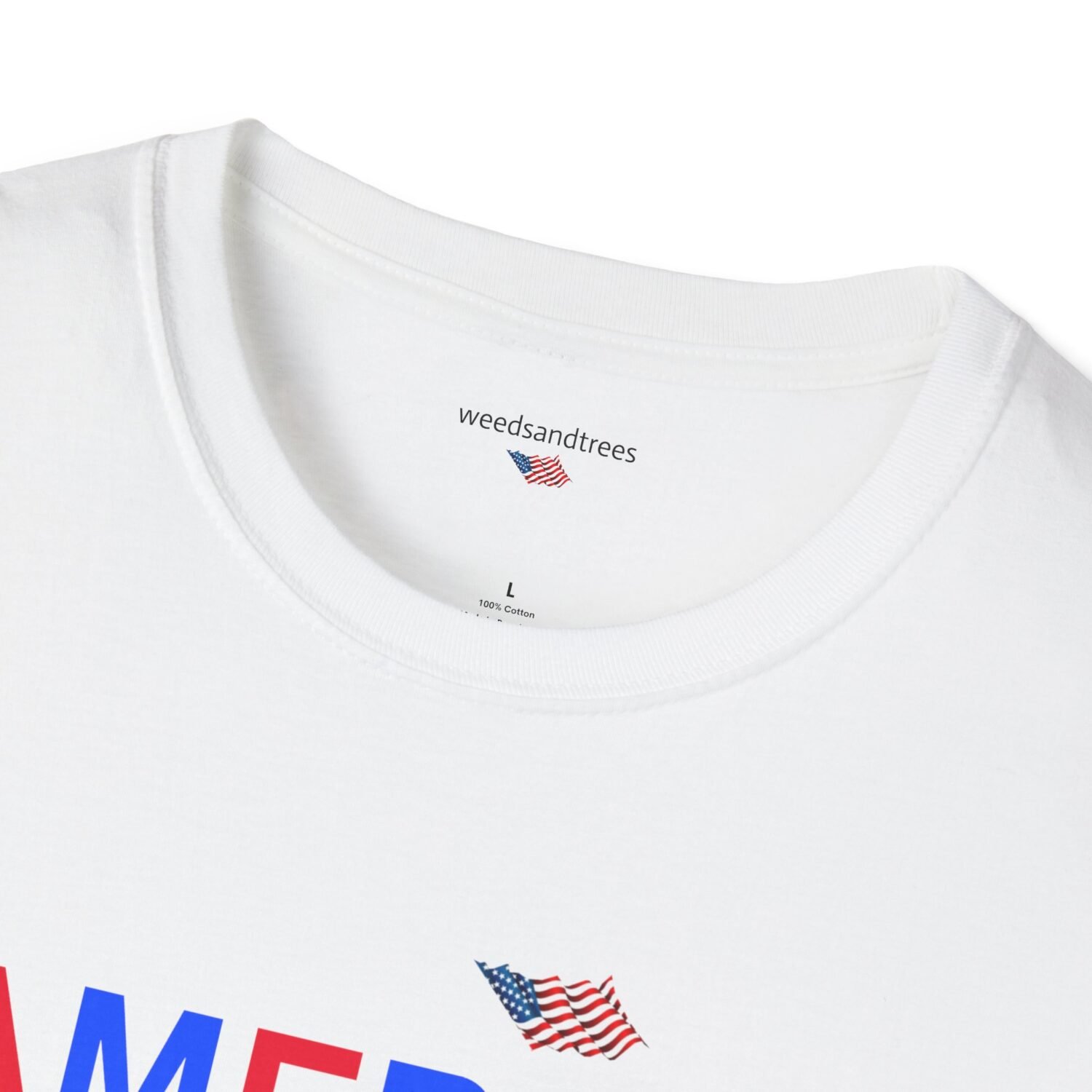 AMERICA NO DICTATORS - Image 7