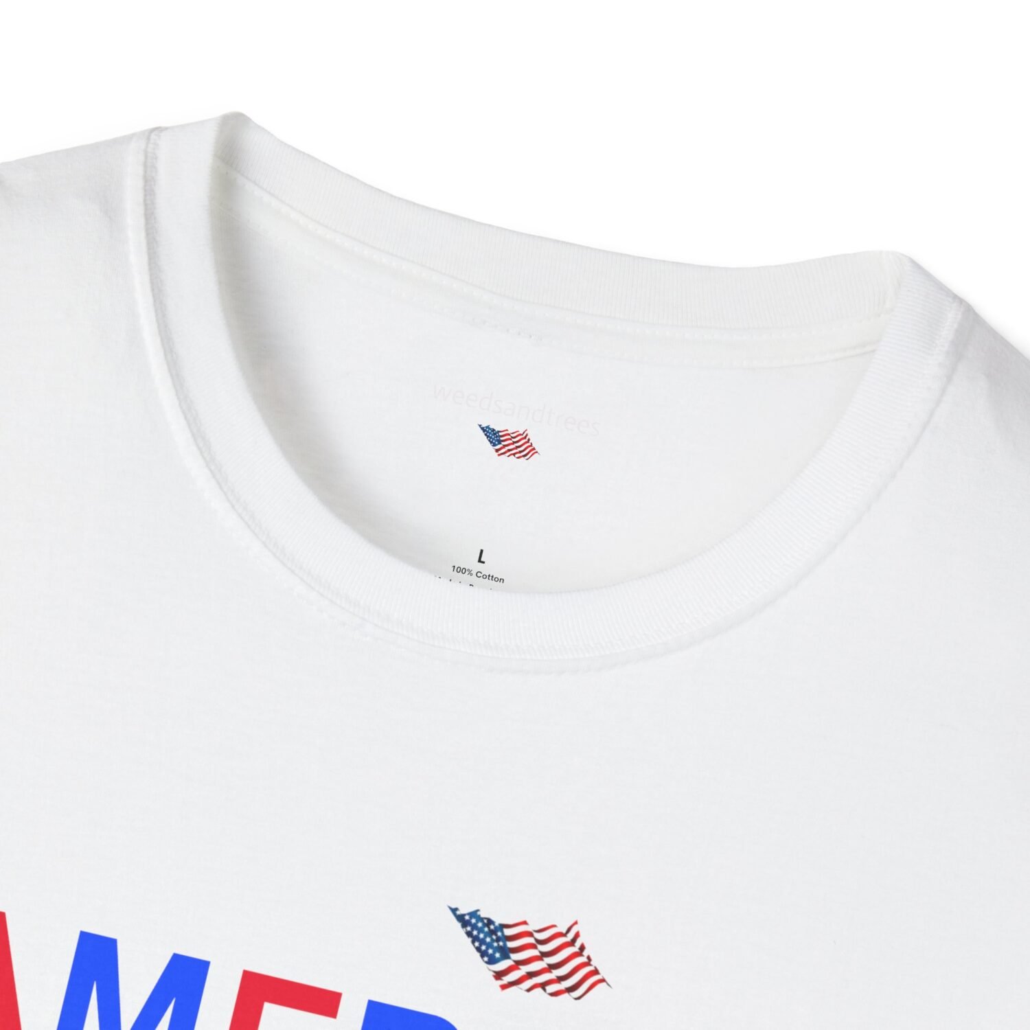 AMERICA NO KINGS - Image 7