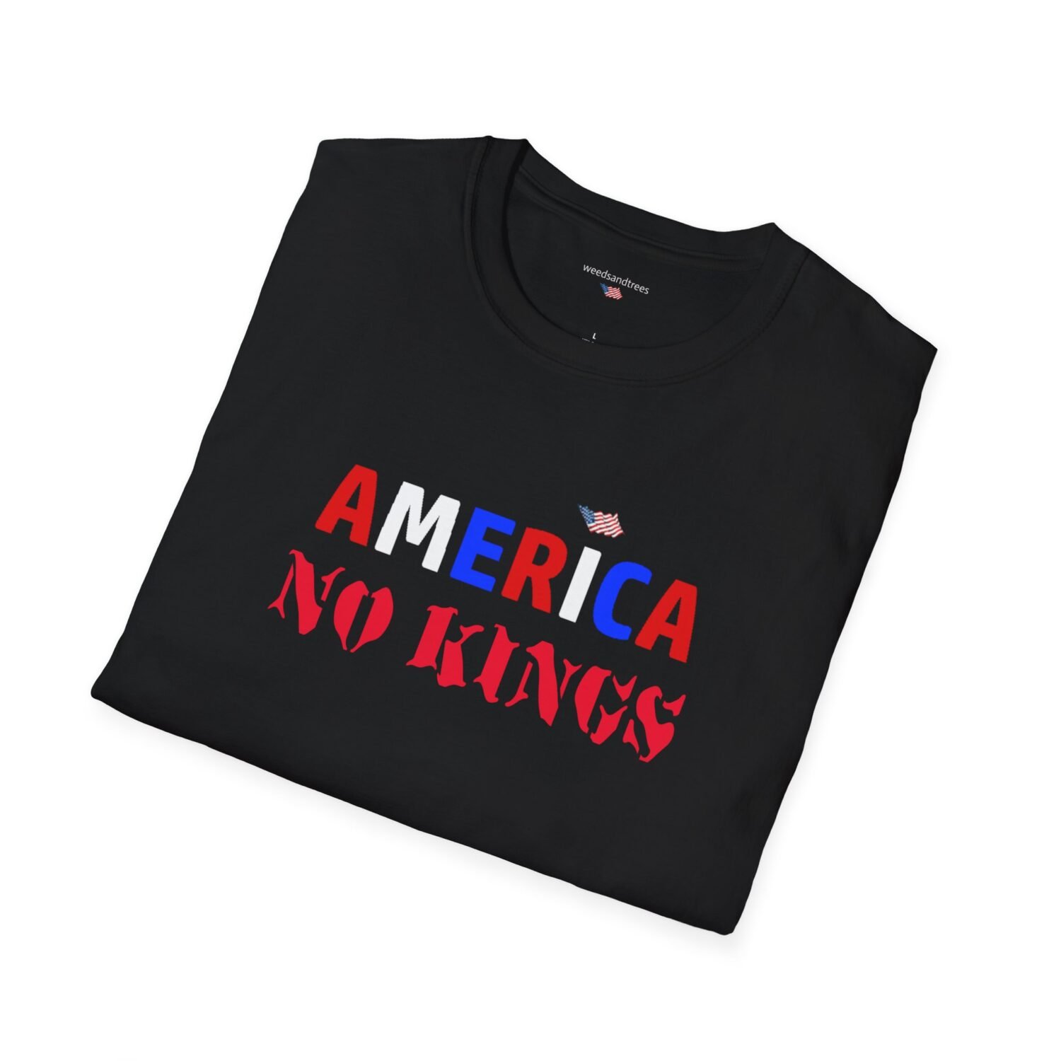 AMERICA NO KINGS - Image 4